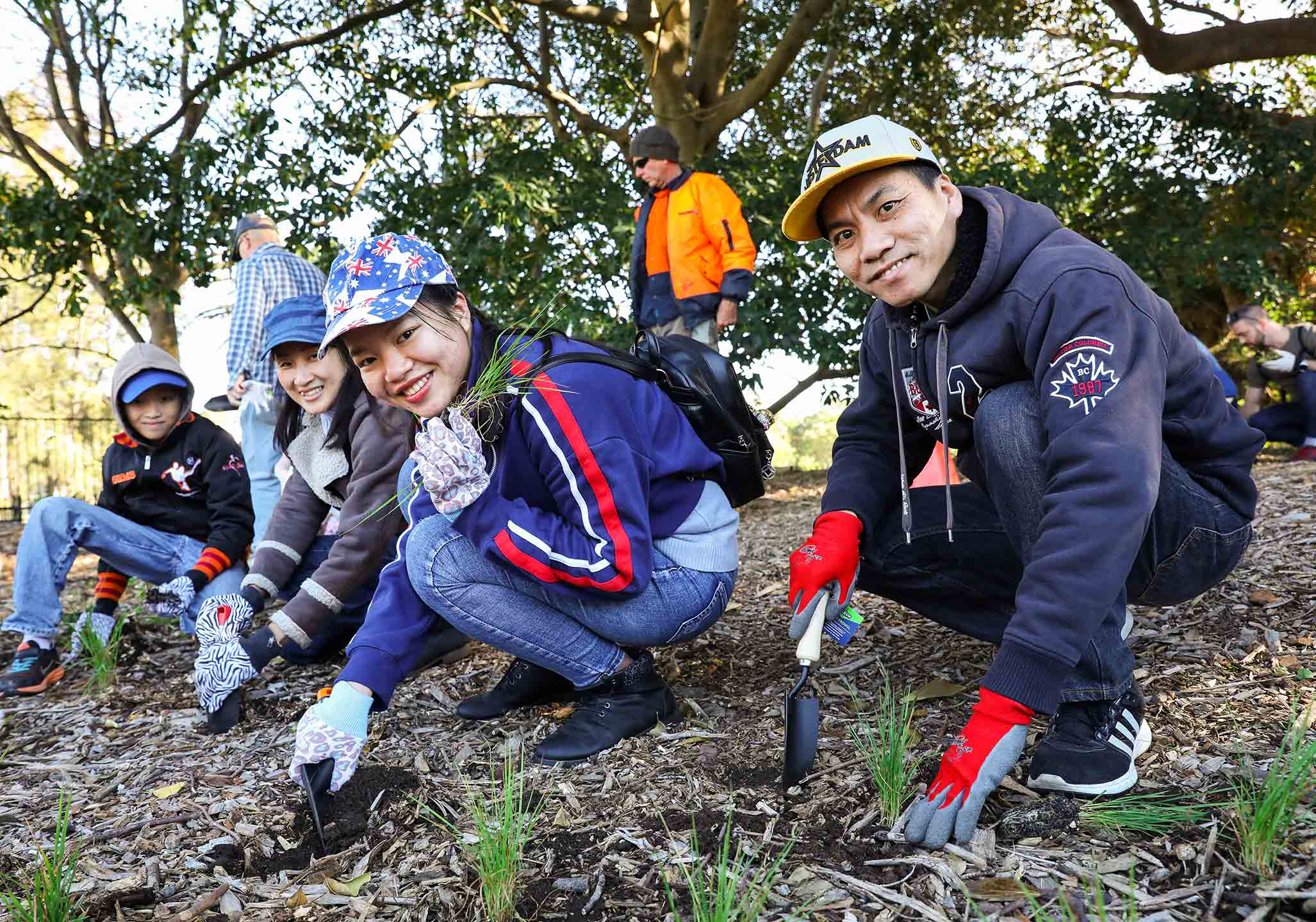A group of people wearing gloves and casual clothes are planting small plants in soil at a park, with trees and other volunteers in the background.